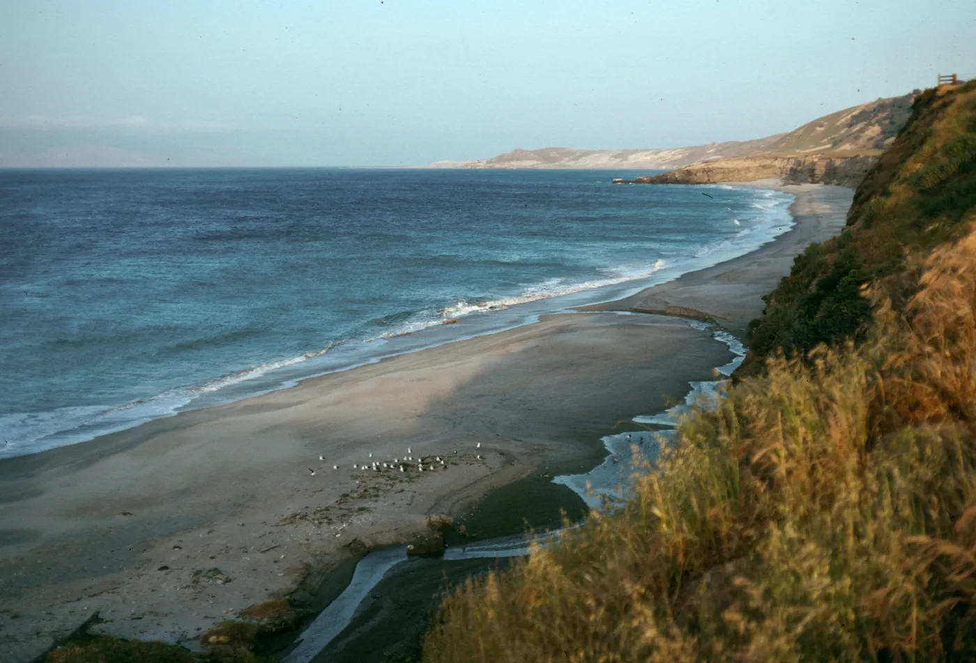 Santa Rosa Island, looking East, mouth of Water Canyon