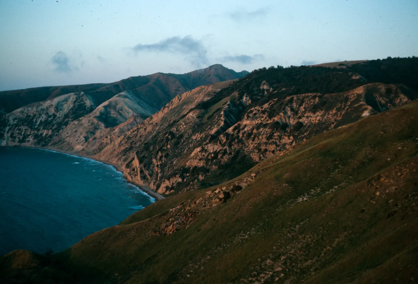 Santa Cruz Island, China Pines at dusk