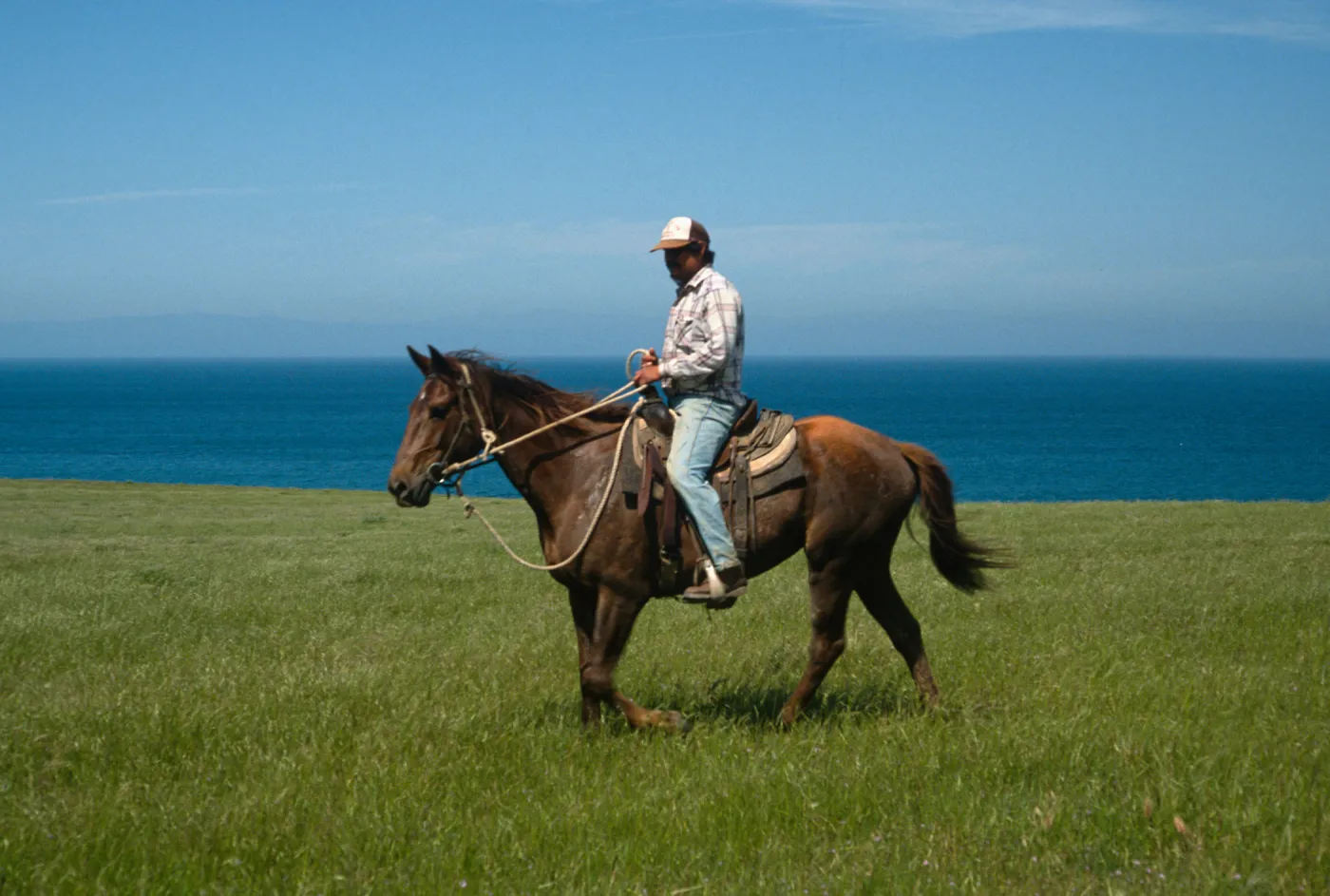 Santa Rosa Island, vaquero, Beechers Bay