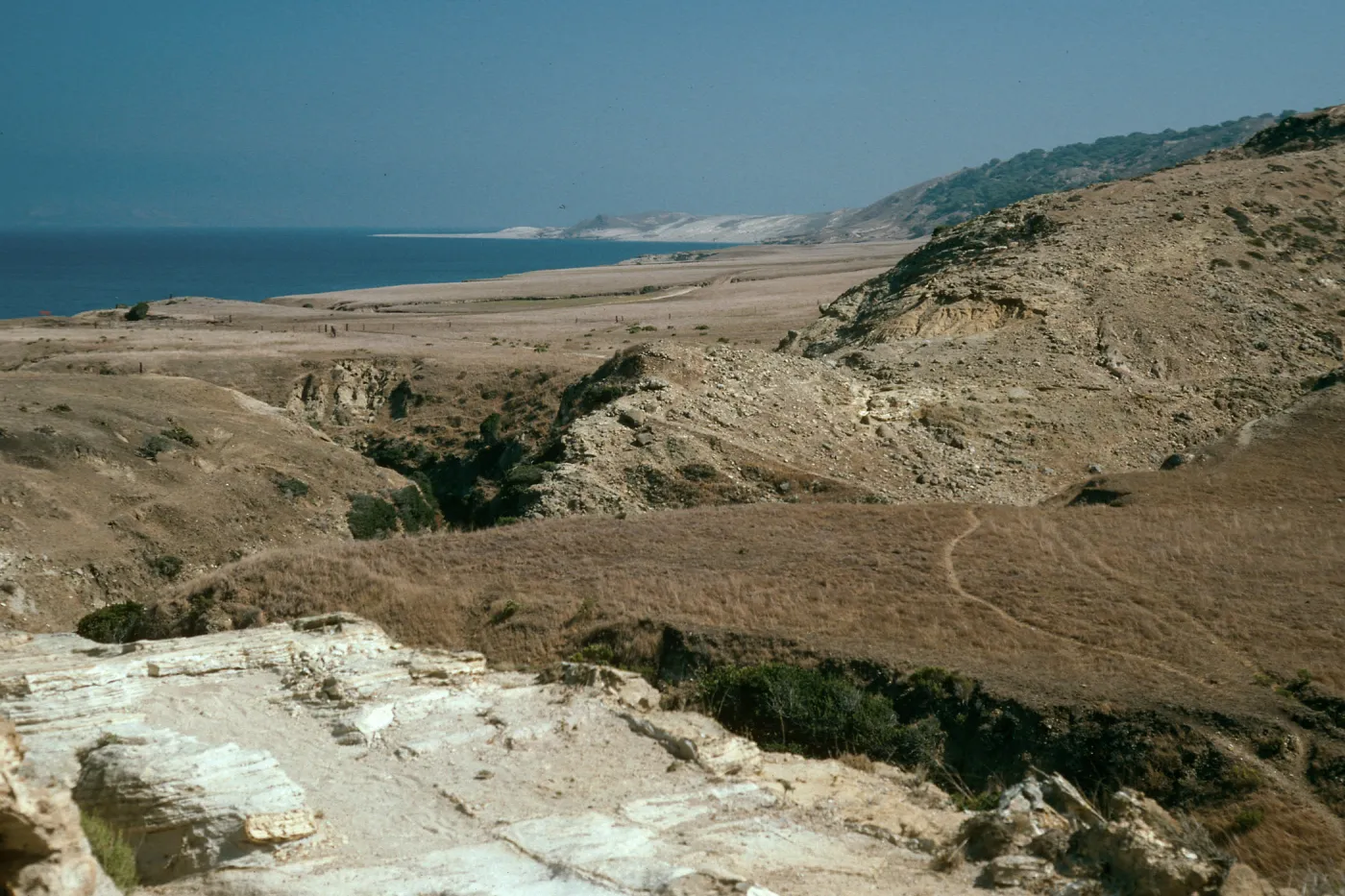 Santa Rosa Island, view of Skunk Point area from Water Canyon Trail