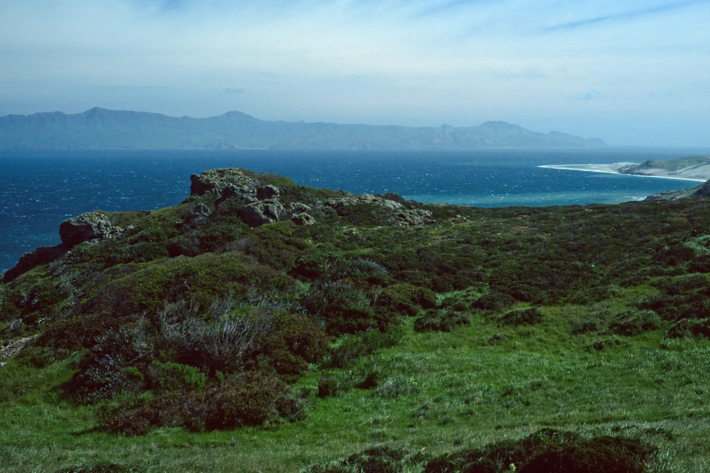 Santa Rosa Island, view of Skunk Point & Santa Cruz Island from upper road to Torrey Pines