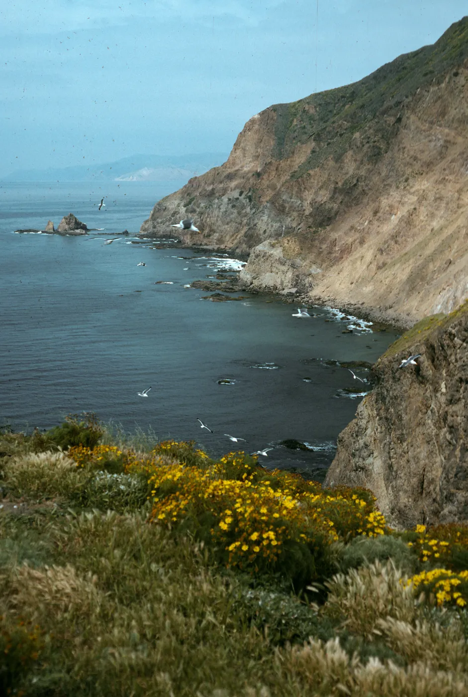 Middle Anacapa Island, view of South side & Cat Rock