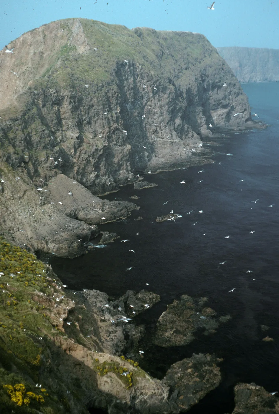 Middle Anacapa Island, overlooking East Fish Camp