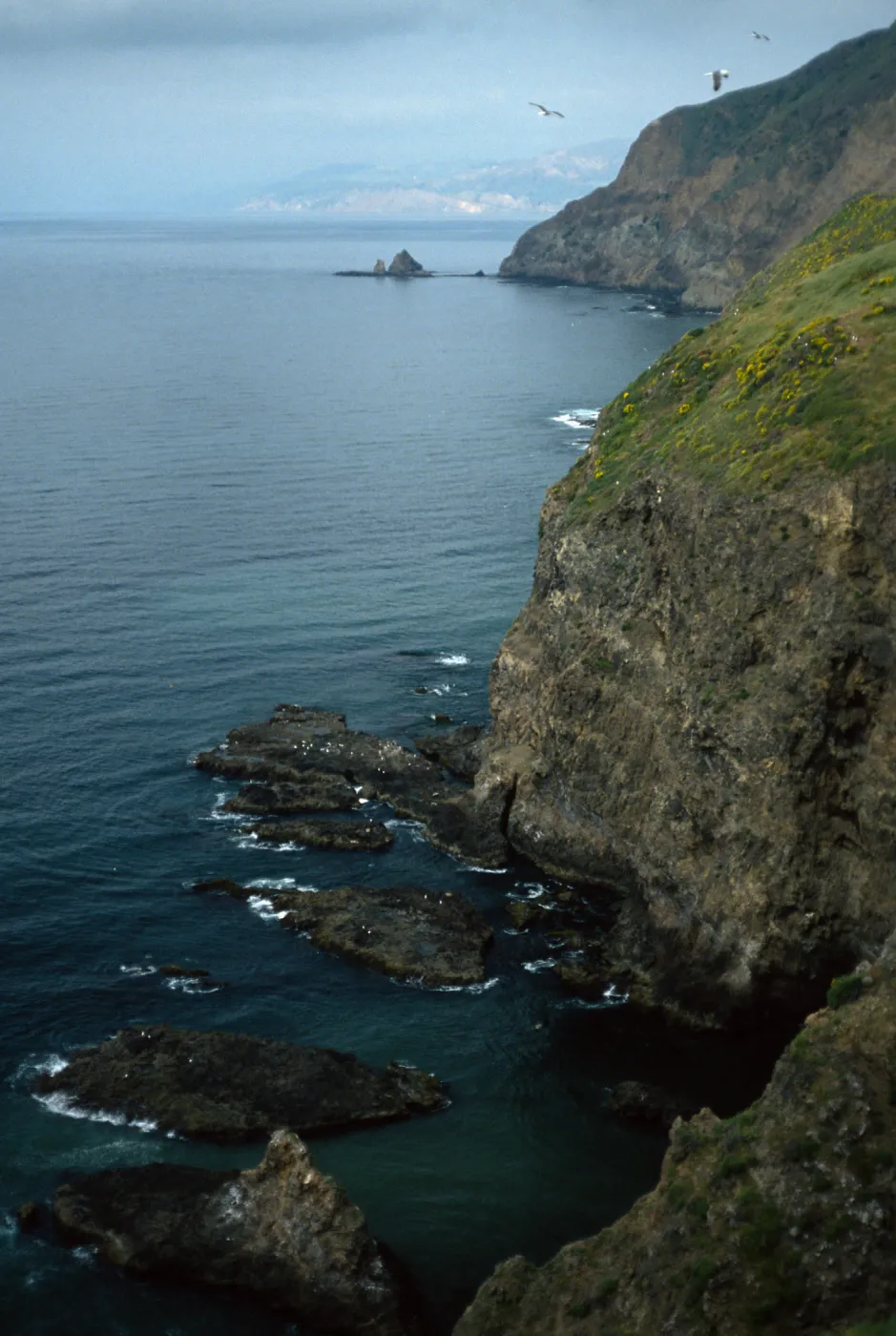 Middle Anacapa Island, looking West toward Cat Rock