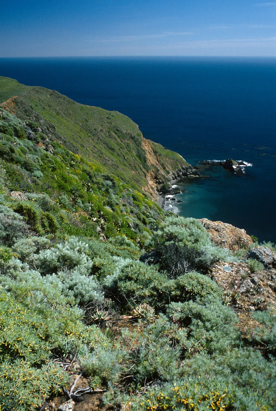 West Anacapa Island, Cat Rock from Summit Peak