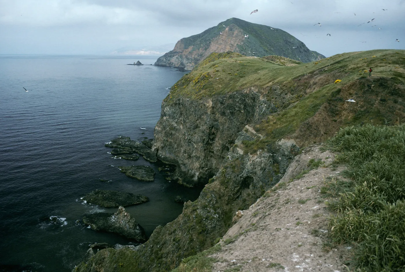 Middle Anacapa Island, view of South side, West Anacapa Island