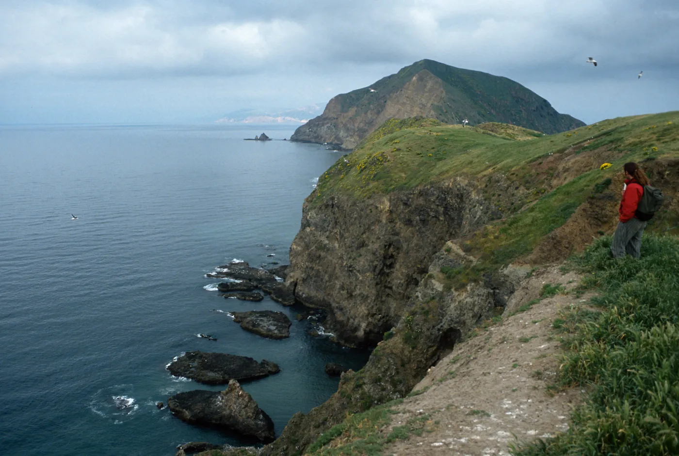 Middle Anacapa Island, Dave Rosen, South side, looking West toward Cat Rock