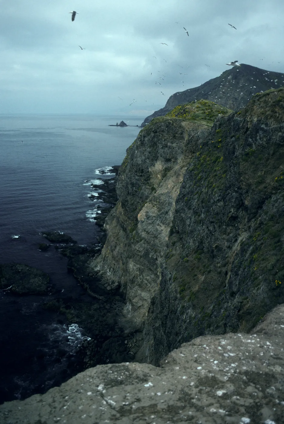 Middle Anacapa Island, view of South side & Cat Rock