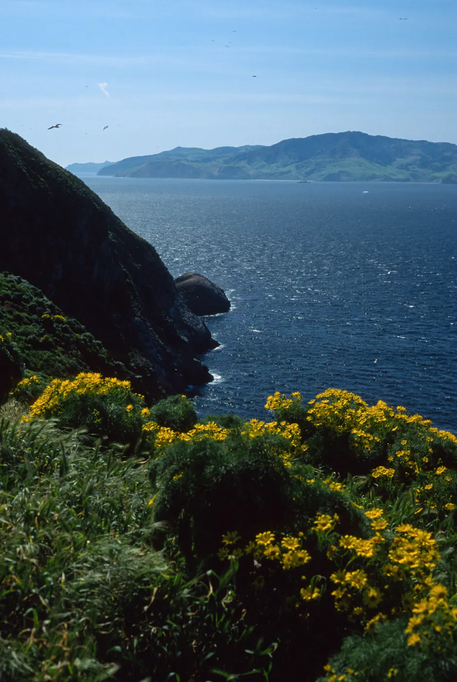 West Anacapa Island, view of Santa Cruz Island 