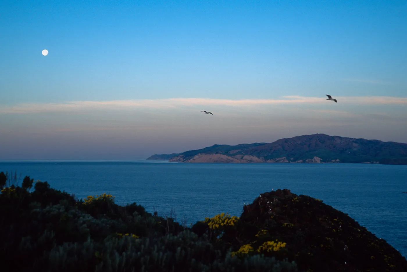 West Anacapa Island, view of Santa Cruz Island 