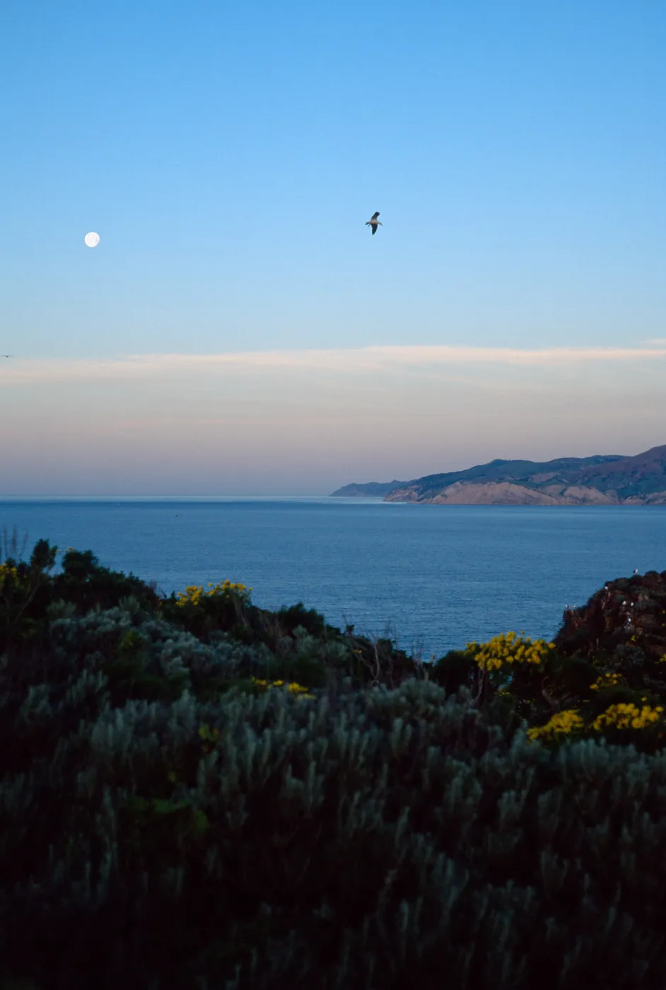 West Anacapa Island, view of Santa Cruz Island 
