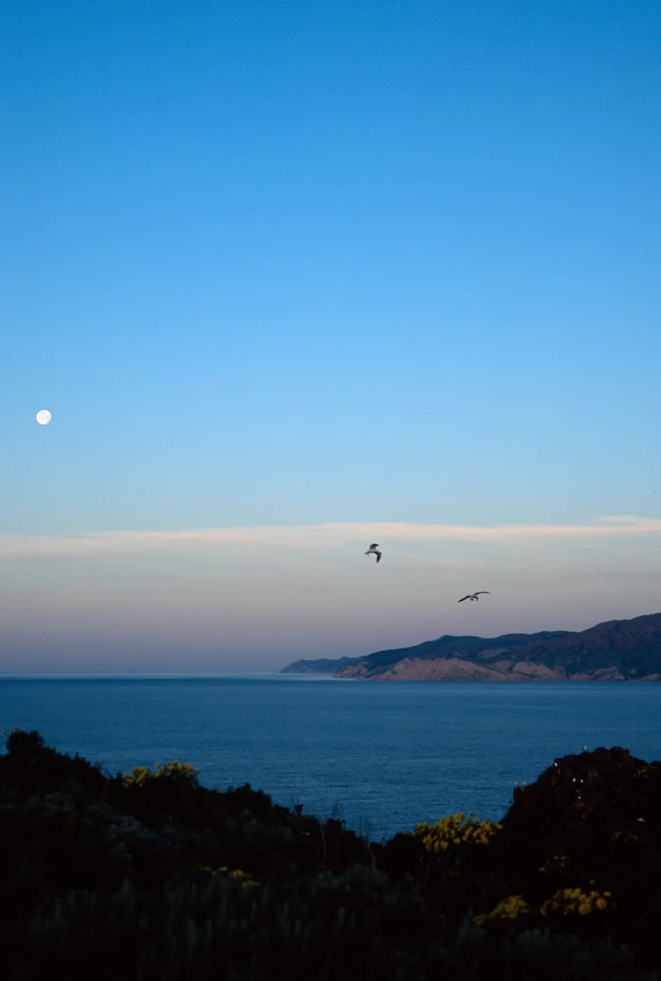West Anacapa Island, view of Santa Cruz Island 