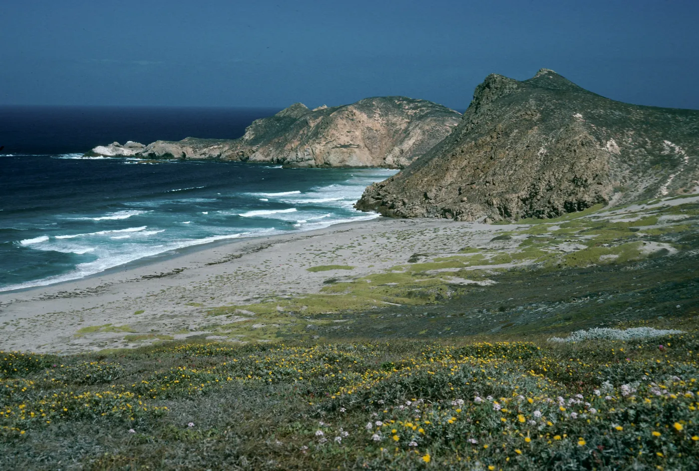 San Miguel Island, Lester Point & Harris Point view