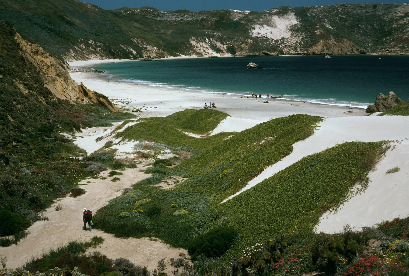 San Miguel Island, dunes, Cuyler Harbor