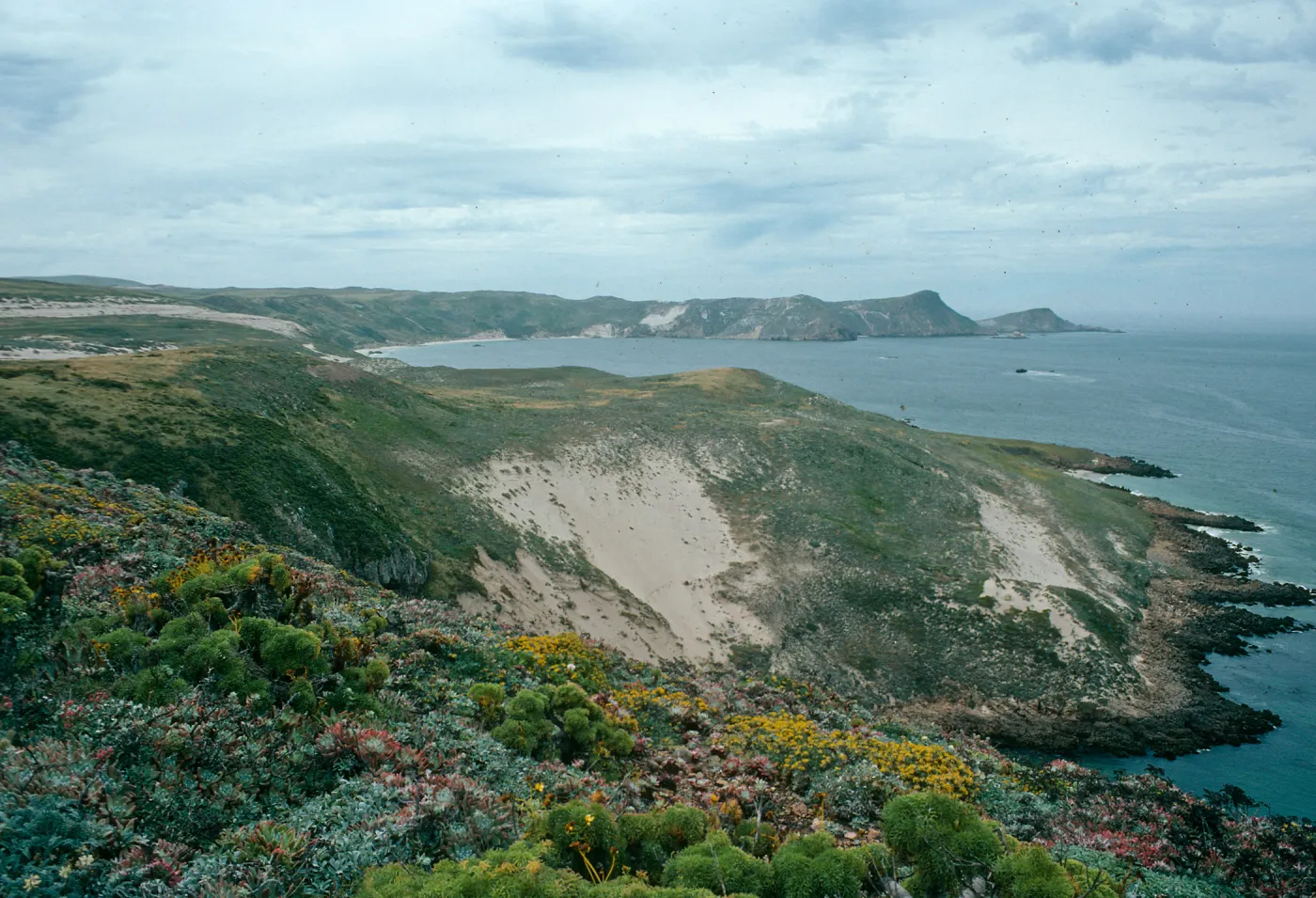 San Miguel Island, Cuyler Harbor from Hoffmann Point