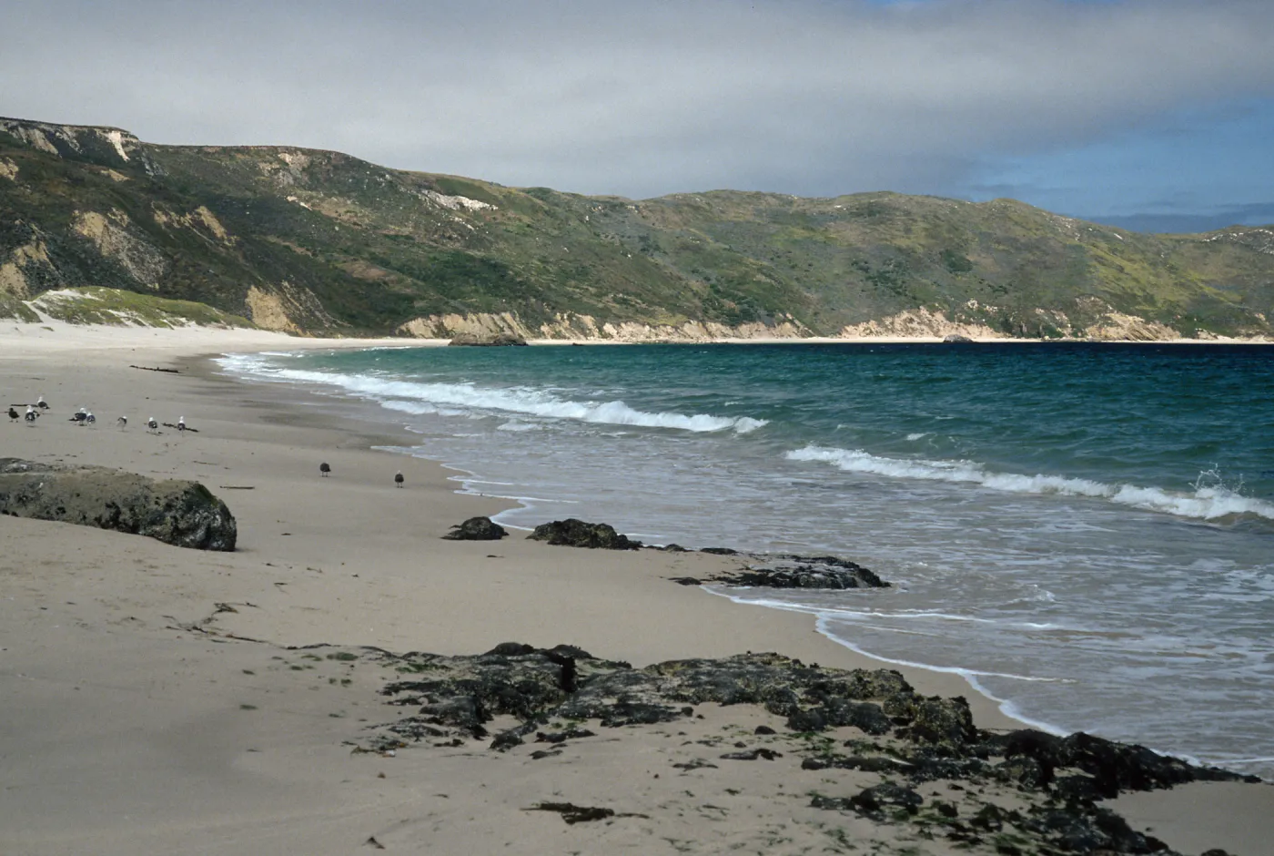 San Miguel Island, Cuyler Harbor