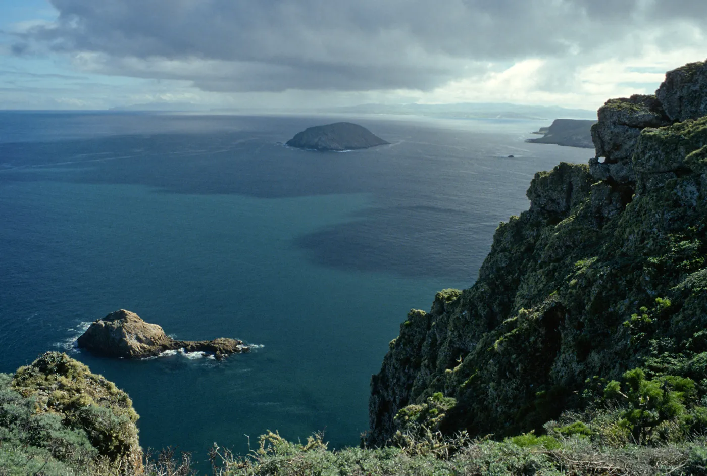 San Miguel Island, Cuyler Harbor from Devils Knoll