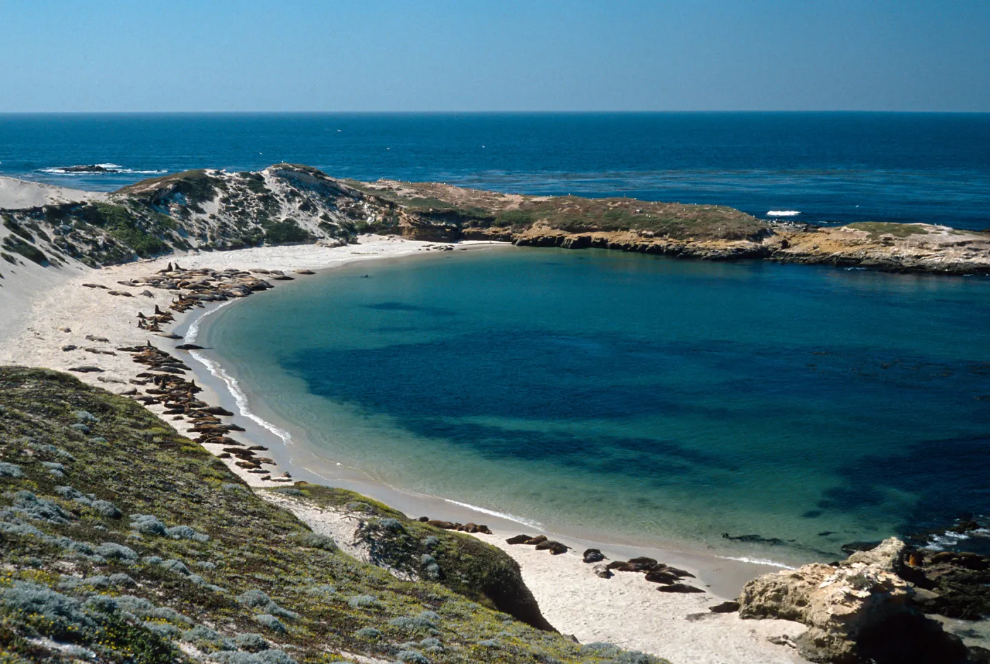 San Miguel Island, Otter Harbor