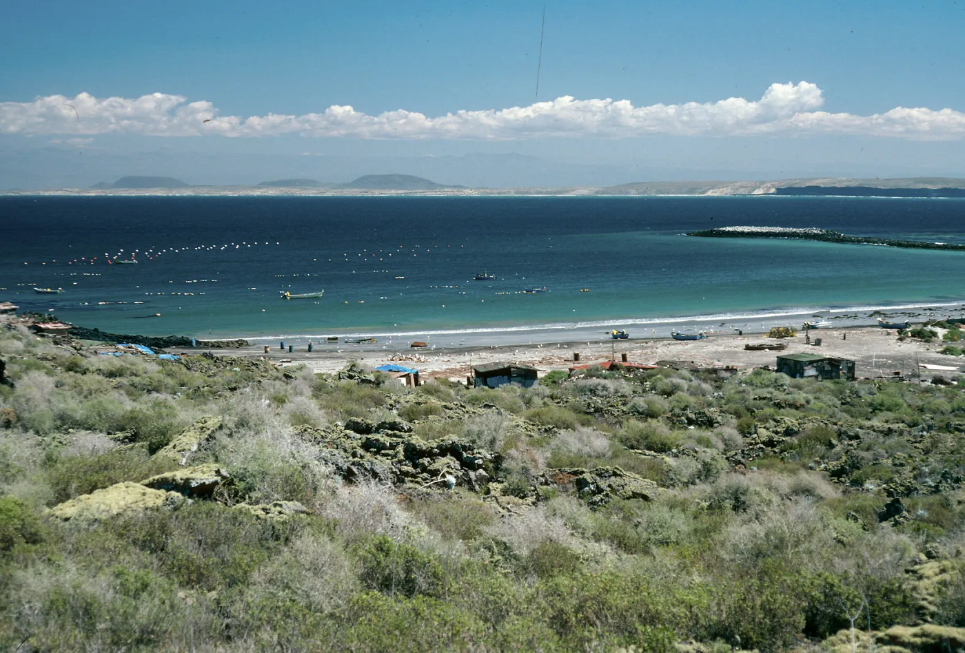 San Martin Island, Hasslers Cove