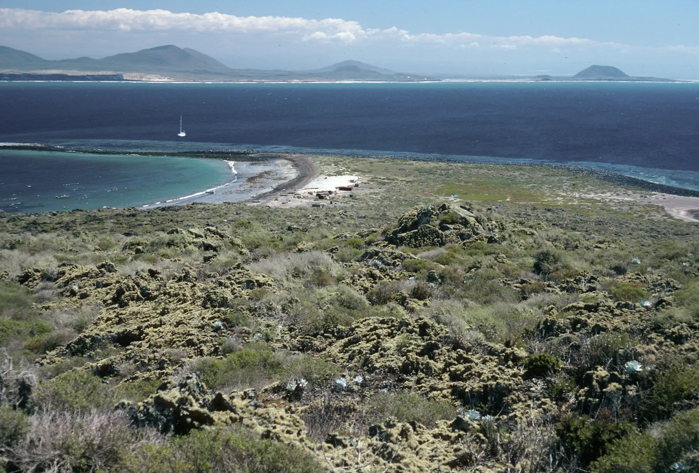 San Martin Island, view of spit at Hasslers Cove, mainland