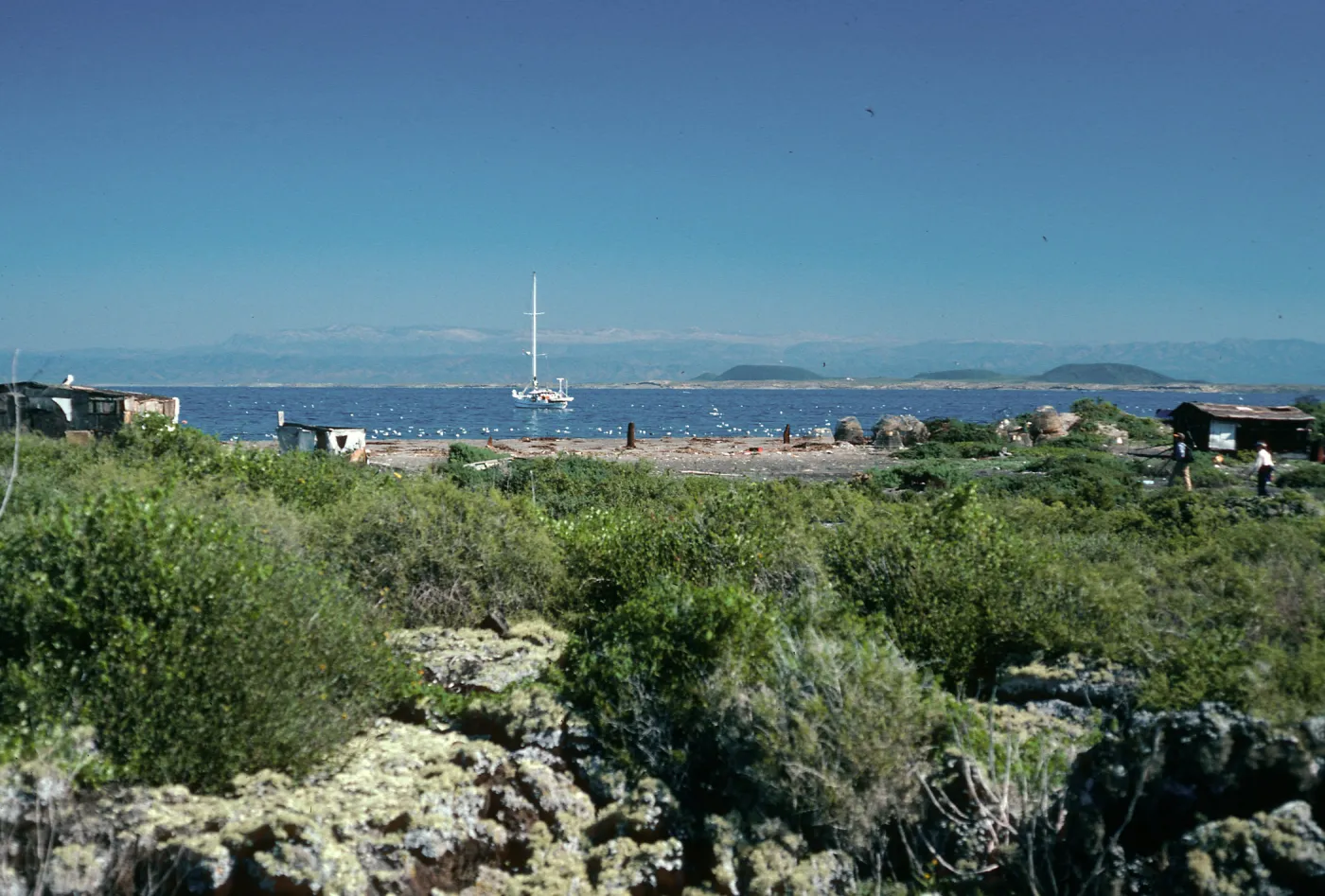 San Martin Island, Hasslers Cove from behind village