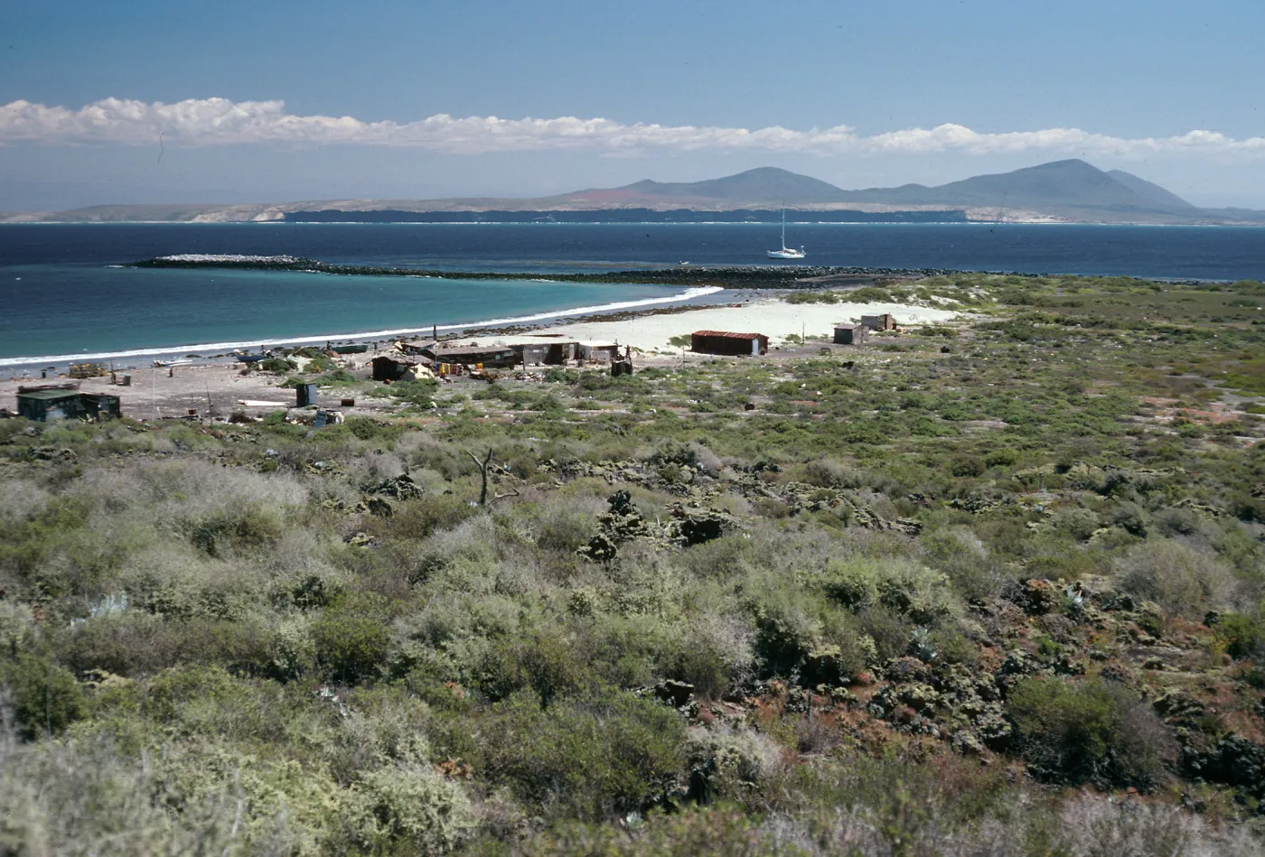 San Martin Island, view of fishing village, Hasslers Cove & mainland