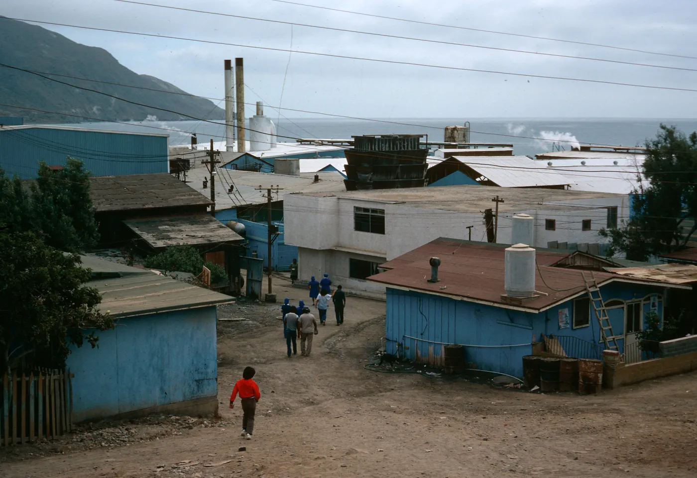 Cedros Island, village, cannery