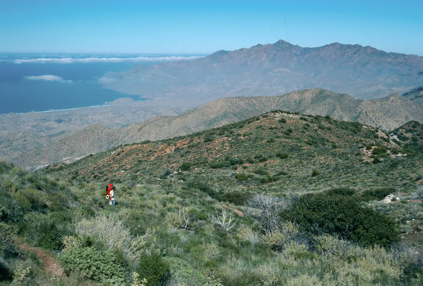 Cedros Island