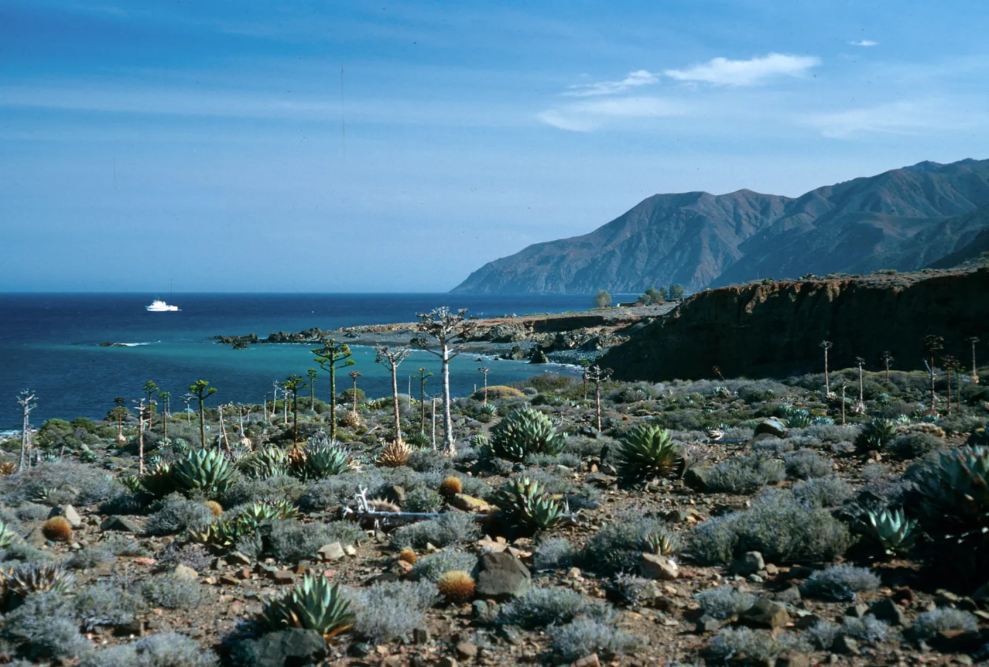 Cedros Island, North of Campo Punta Norte