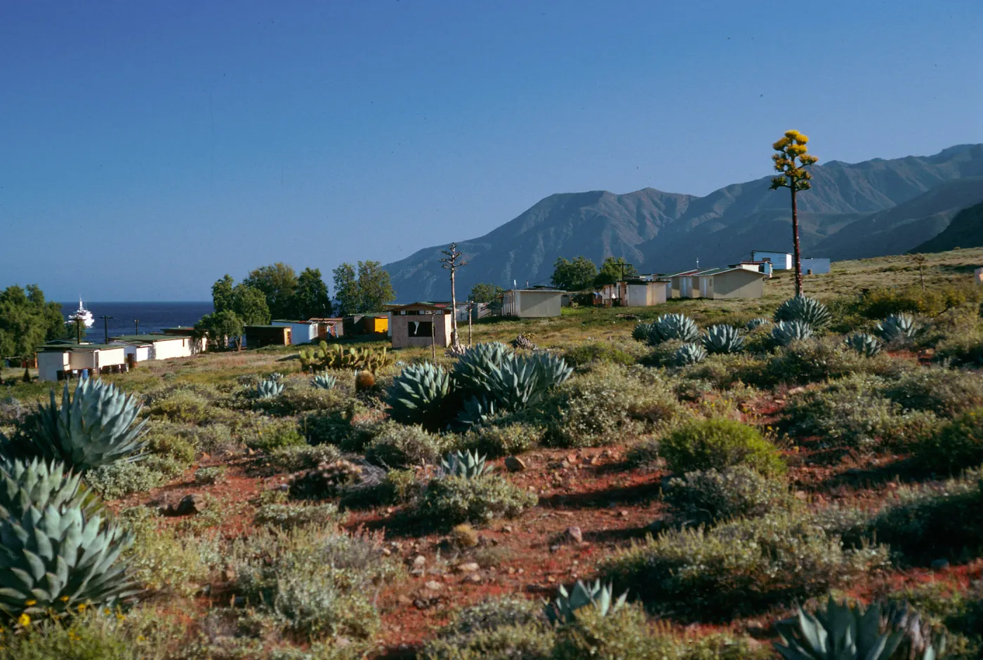 Cedros Island, Campo Punta Norte