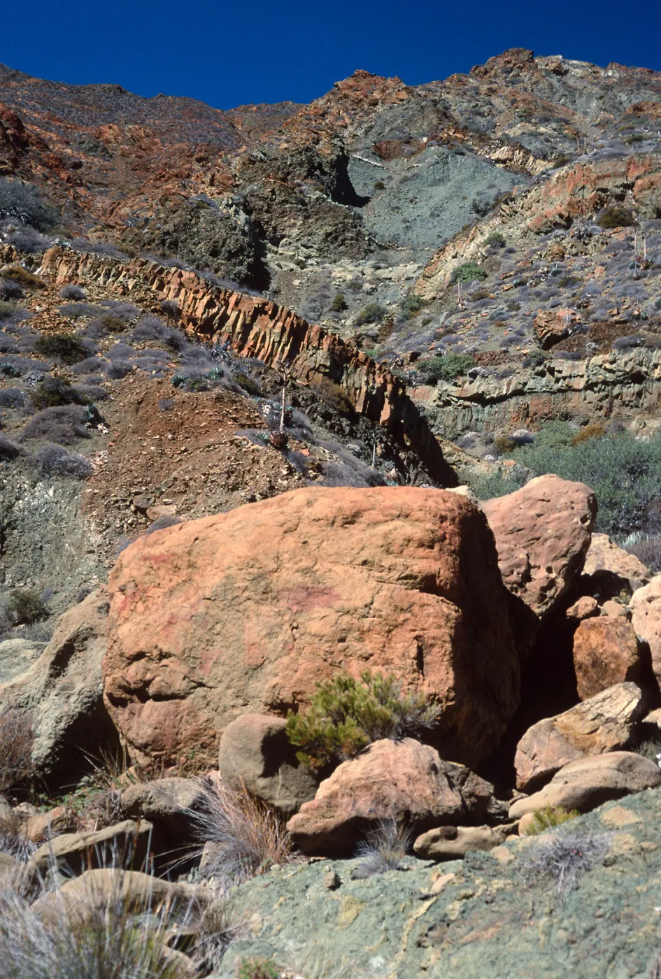 Cedros Island. Arroyo Choyal