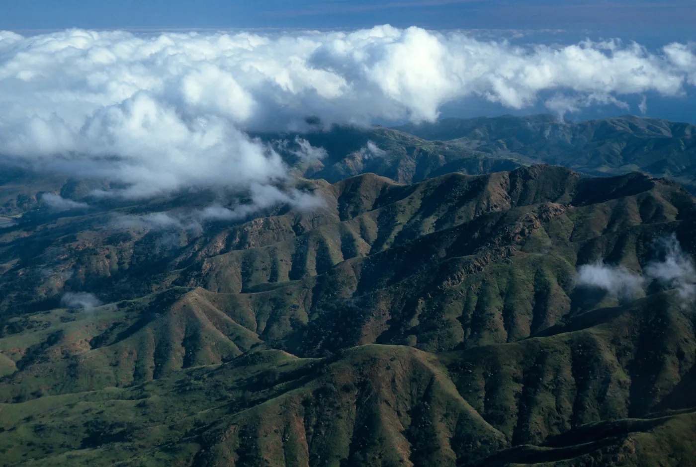 Santa Cruz Island, North ridge, West of Cañada Del Puerto