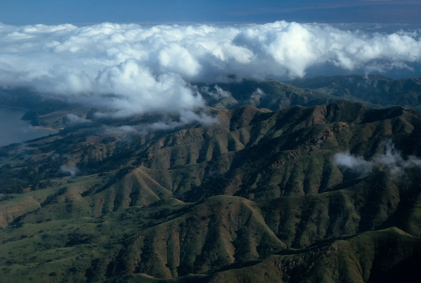 Santa Cruz Island, North ridge, West of Cañada Del Puerto