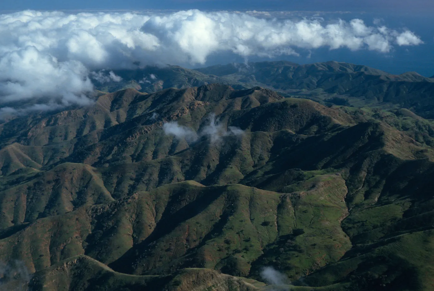 Santa Cruz Island, North ridge, West of Cañada Del Puerto
