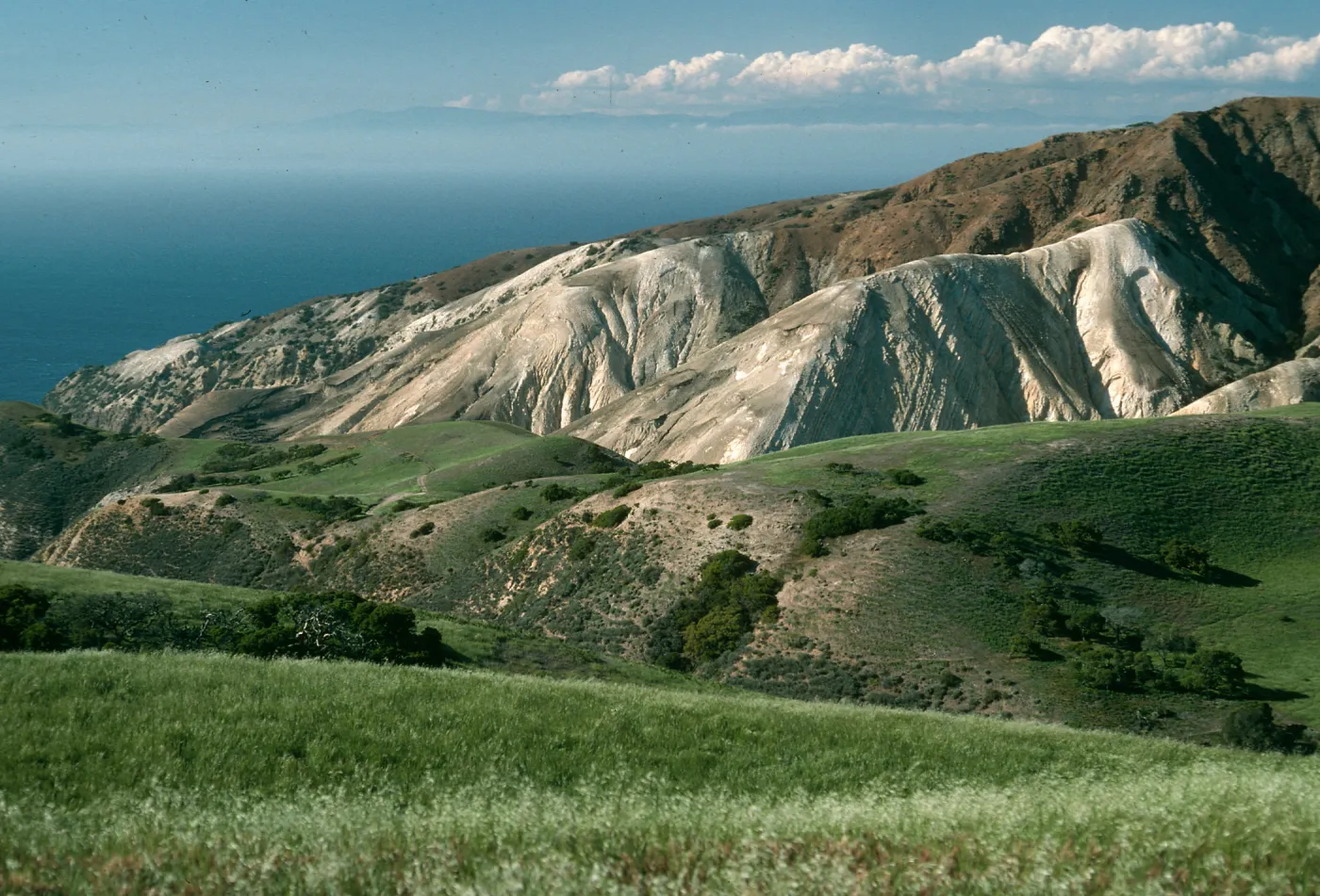 Santa Cruz Island, near China Pines