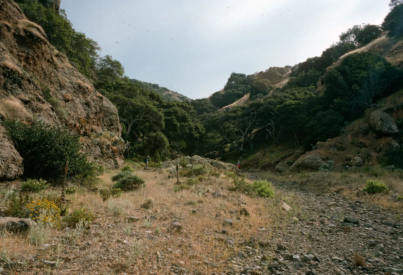 West Twin Canyon, Santa Cruz Island