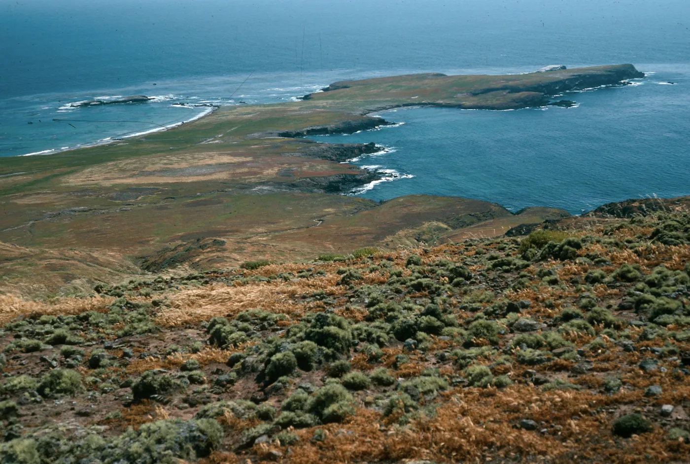Fraser Point from West Point ridge, Santa Cruz Island