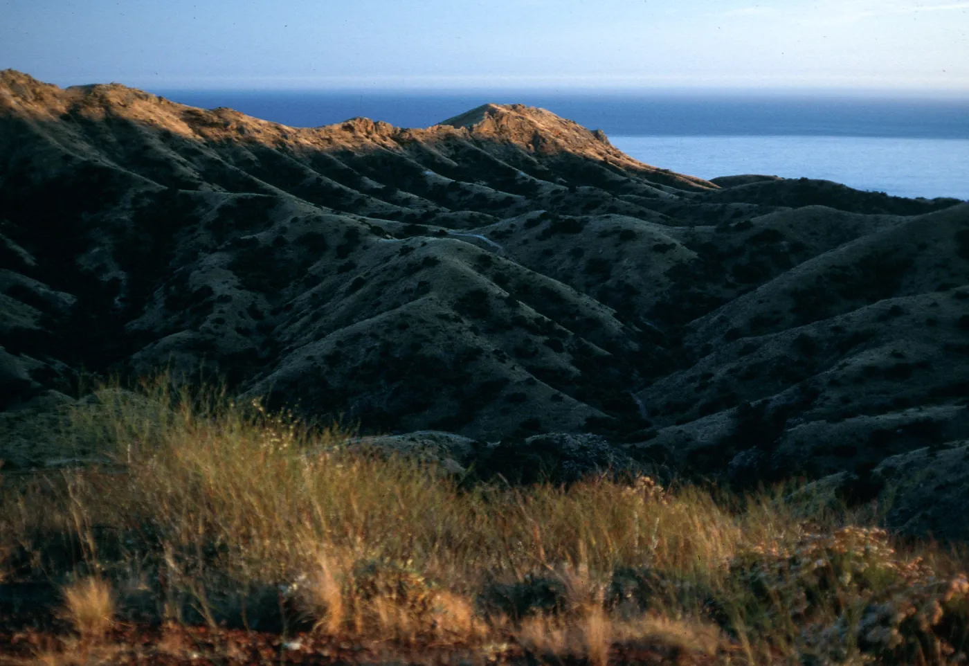 Las Torres from Coches Prietos Road, Santa Cruz Island