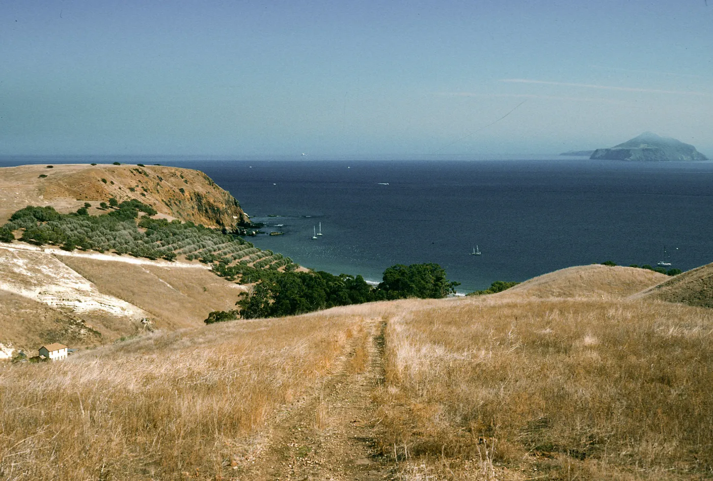 Smugglers Cove, Santa Cruz Island