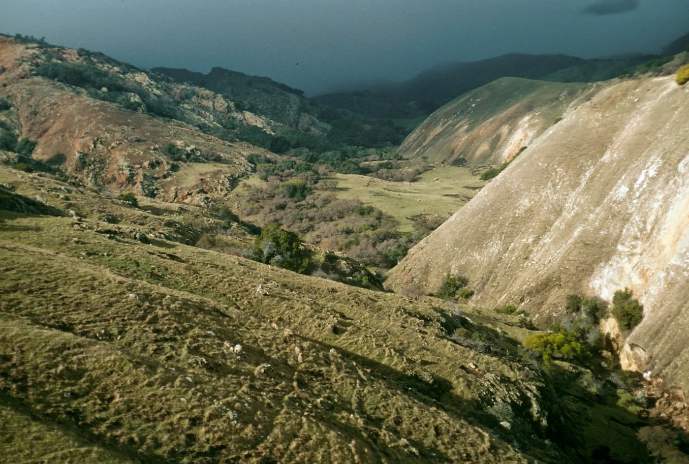 Smugglers Canyon, Santa Cruz Island