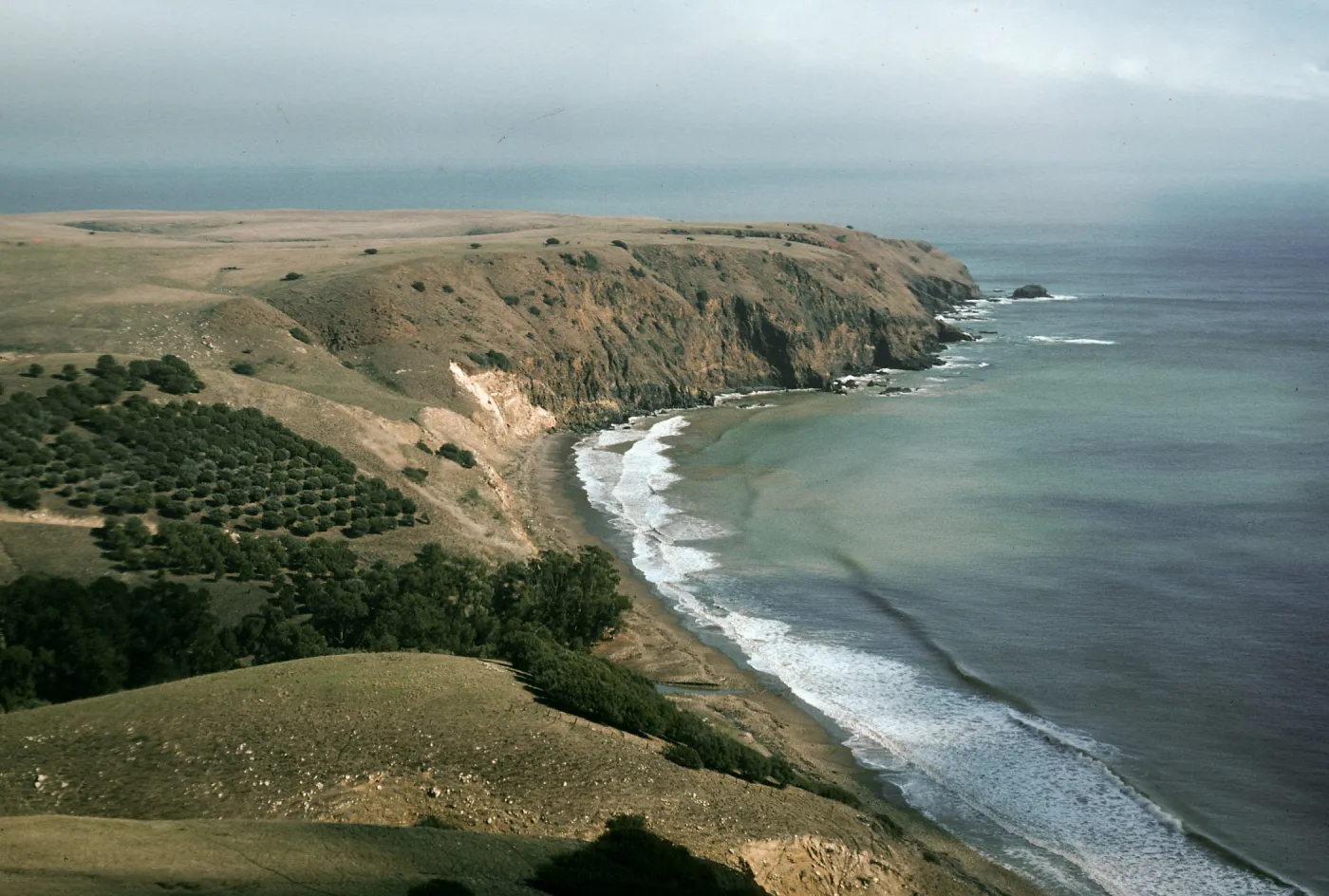 Smugglers Cove, Santa Cruz Island