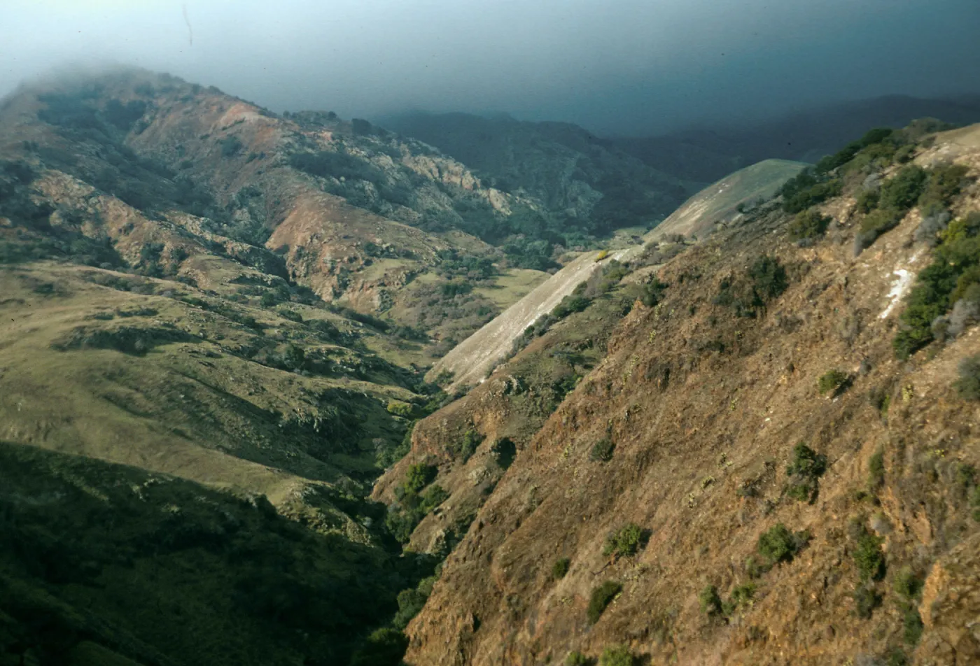 Smugglers Canyon, Santa Cruz Island