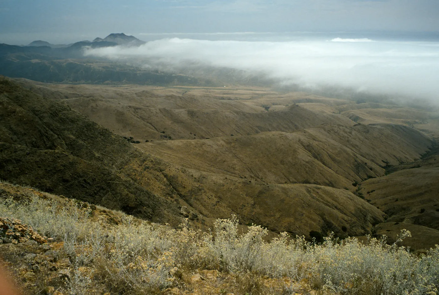 fog over Christy barn, trail to marker “John”, Santa Cruz Island