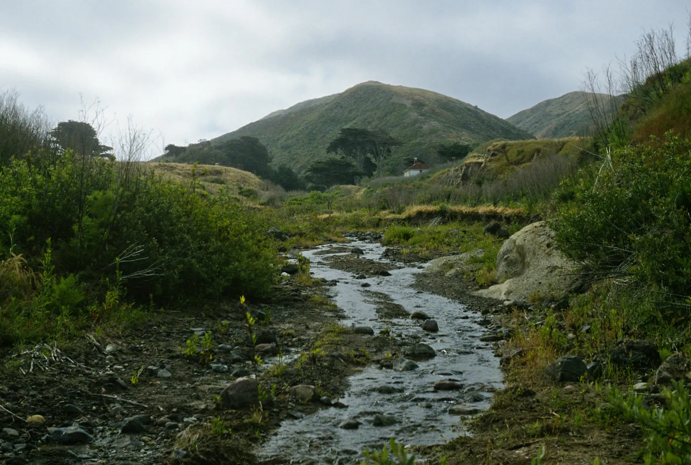 lower Christy Creek, Santa Cruz Island