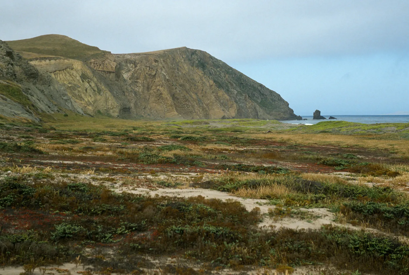 South end of Christy Beach, Santa Cruz Island