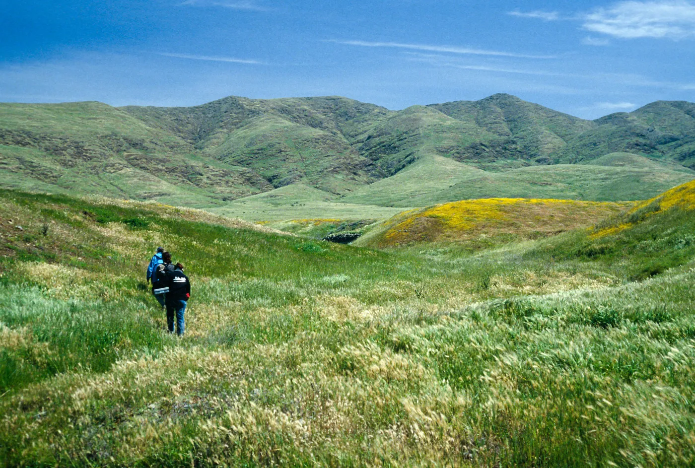 near Chumash House pits, West end, Santa Cruz Island