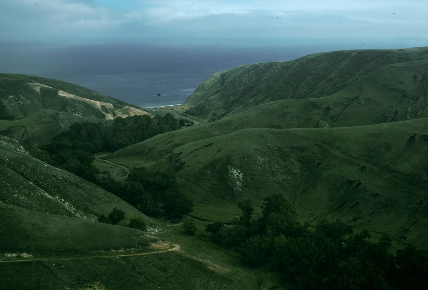 Scorpion Canyon, Santa Cruz Island