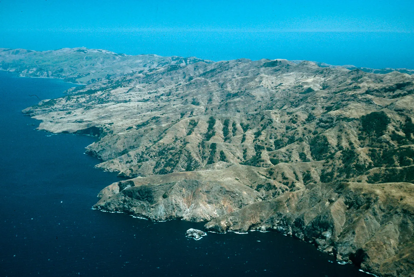 North side, Santa Cruz Island