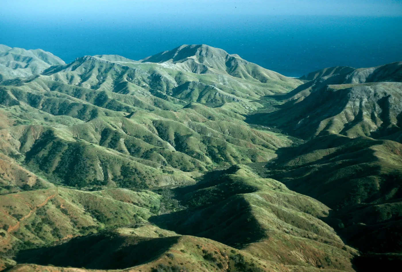 Laguna Canyon, Santa Cruz Island