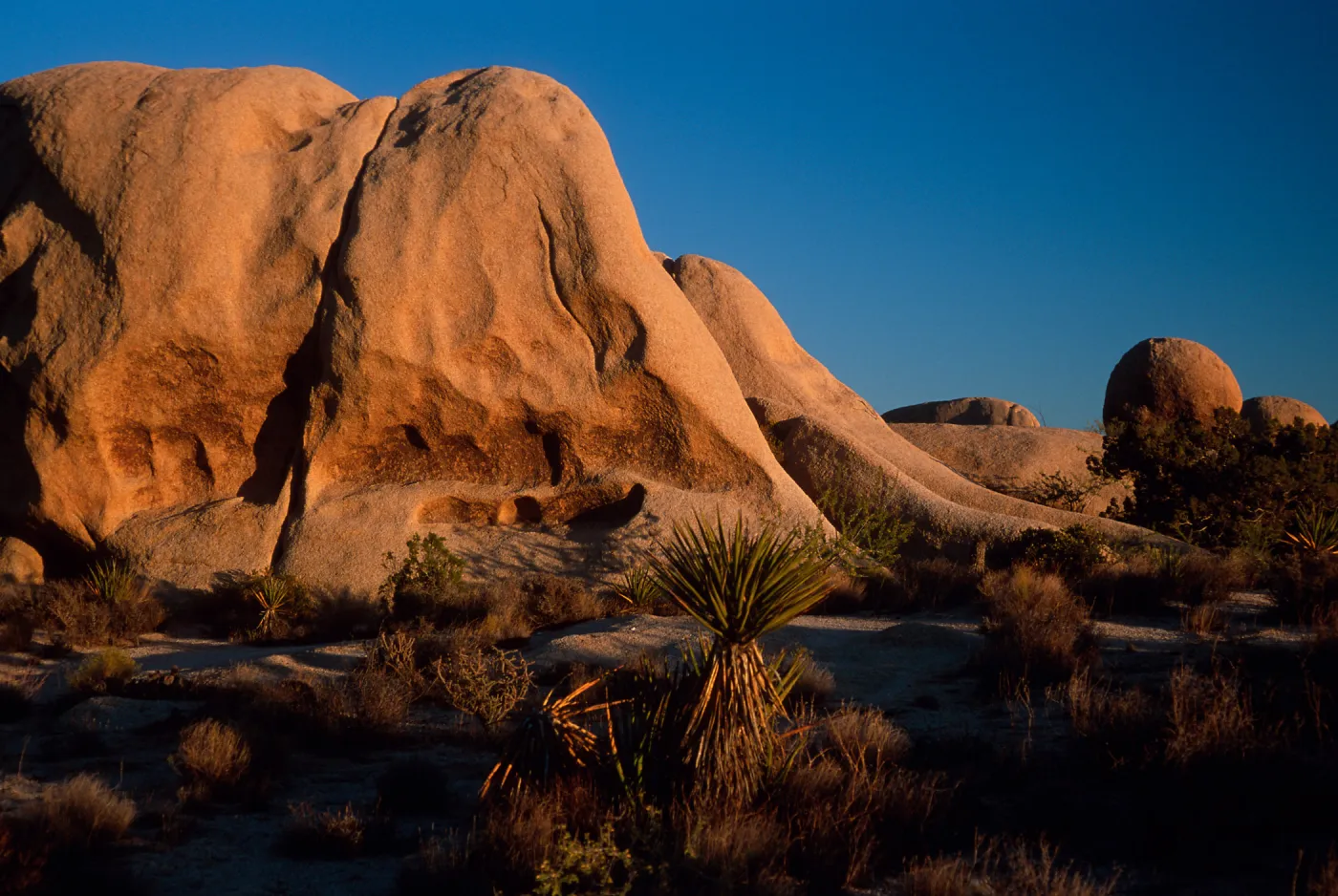 rocks, near Belle Campground, Joshua Tree National Park